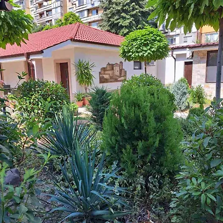 стария орех Pensjonat Widyń