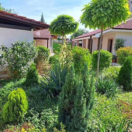 стария орех Pensiune Vidin