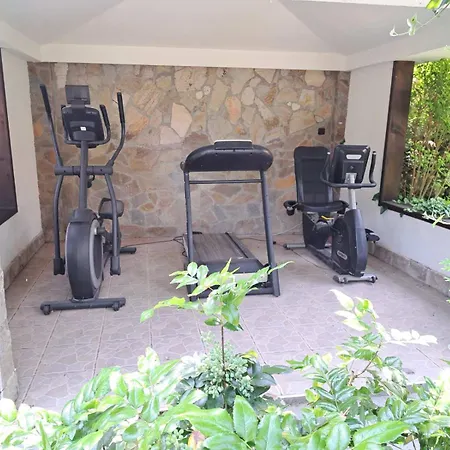 Pensiune стария орех