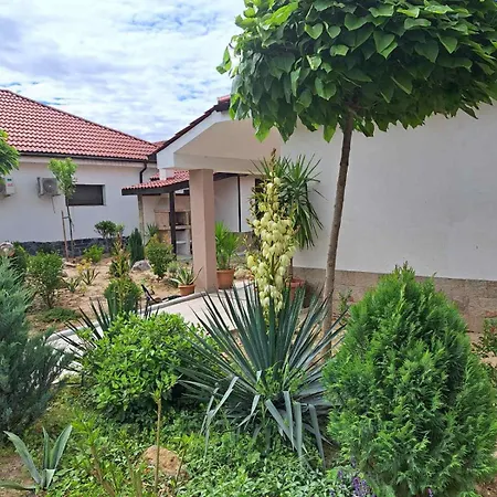 Pensiune стария орех Vidin