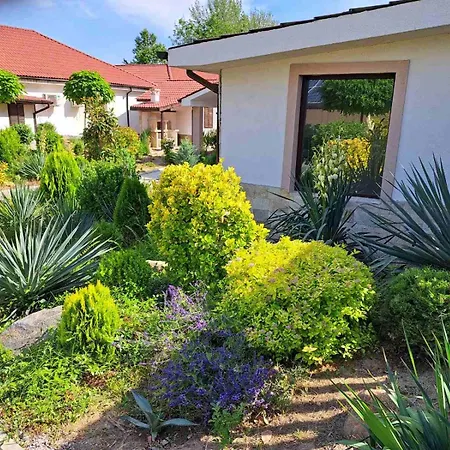 стария орех Konukevi Vidin