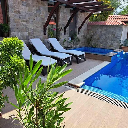 стария орех Pensiune 3*