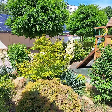 стария орех Konukevi