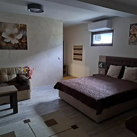 стария орех Vidin