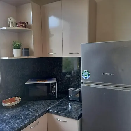 Pensiune стария орех Vidin