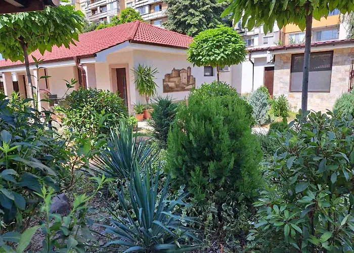 стария орех Gæstehus Vidin