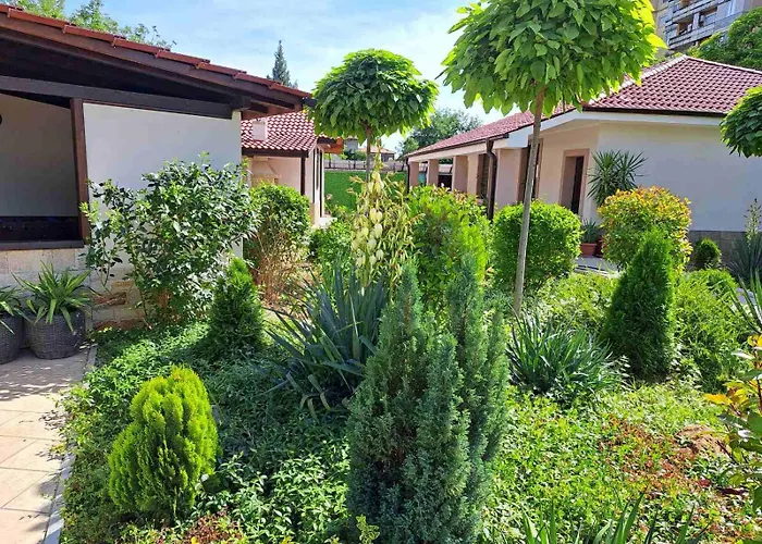 стария орех Gæstehus Vidin