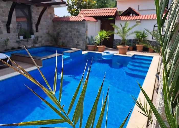 стария орех