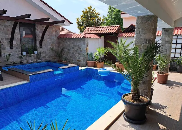 стария орех Vidin