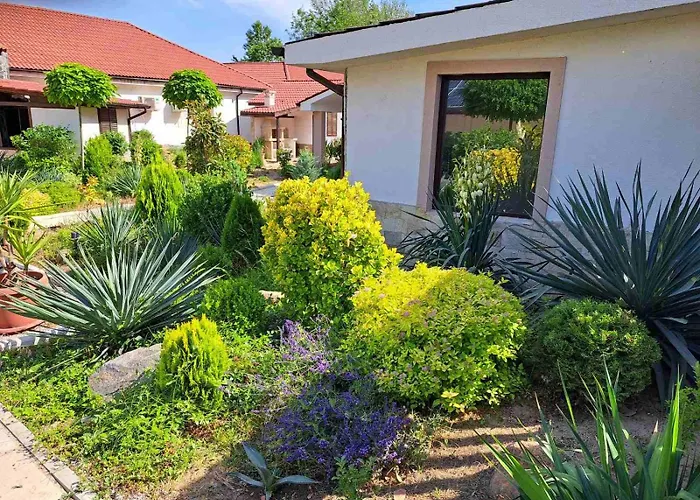 стария орех Gæstehus Vidin