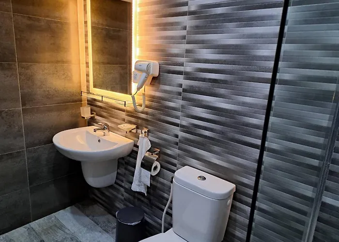 стария орех Gæstehus Vidin