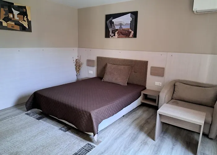 стария орех Gæstehus Vidin