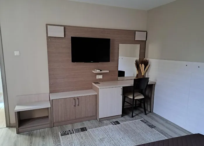 стария орех Gæstehus Vidin