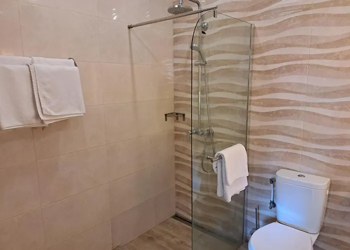 стария орех 3* Vidin