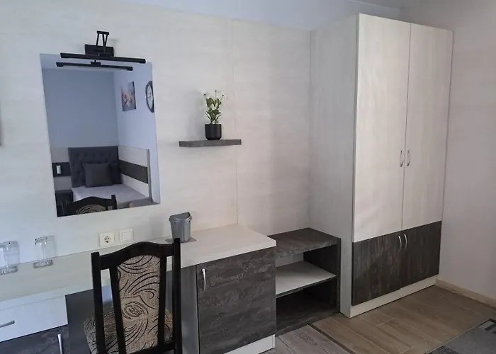 стария орех Gæstehus Vidin