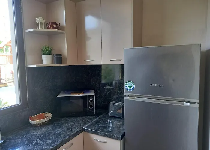 Gæstehus стария орех Vidin